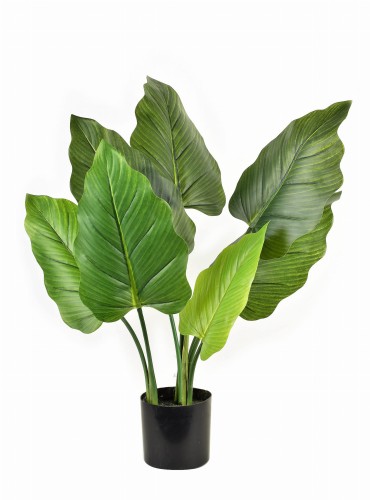 VIRIDIS Kwiat sztuczny alocasia H65cm wdoniczce